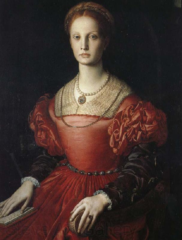 Agnolo Bronzino Pan Qiadi wonderful portrait Spain oil painting art